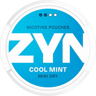 ZYN Cool Mint Mini