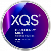 XQS Blueberry Mint 4mg