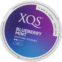 XQS Blueberry Mint 4mg