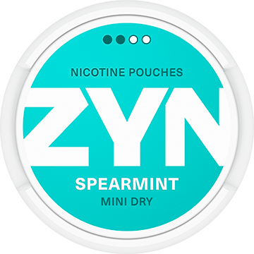 ZYN Mini Dry Spearmint 3mg