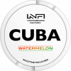 CUBA White Watermelon