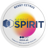 Nordic Spirit Berry Citrus