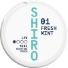 Shiro 01 Fresh Mint Low Mini
