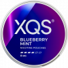 XQS Blueberry Mint Strong