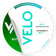 VELO Witty Spearmint