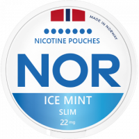 NOR Ice Mint 22mg Slim