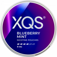 XQS Blueberry Mint Strong