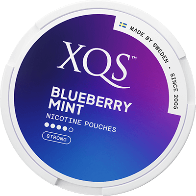 XQS Blueberry Mint Strong