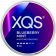 XQS Blueberry Mint Strong