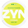 ZYN Citrus Mini
