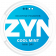 ZYN Cool Mint Mini