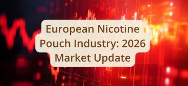 European Nicotine Pouch Industry: 2026 Market Update