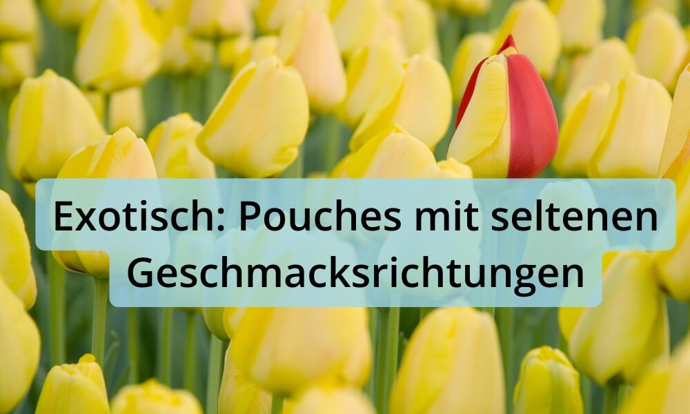 Exotisch: Nikotinbeutel mit seltenen Geschmacksrichtungen