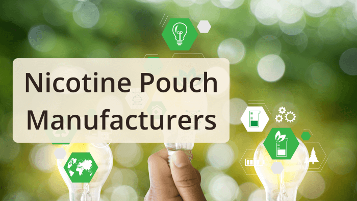 The Companies Behind the Brands: The Nicotine Pouch Manufacturers