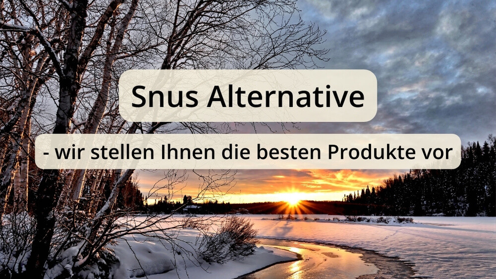Snus Alternative: wir stellen Ihnen die besten Produkte vor