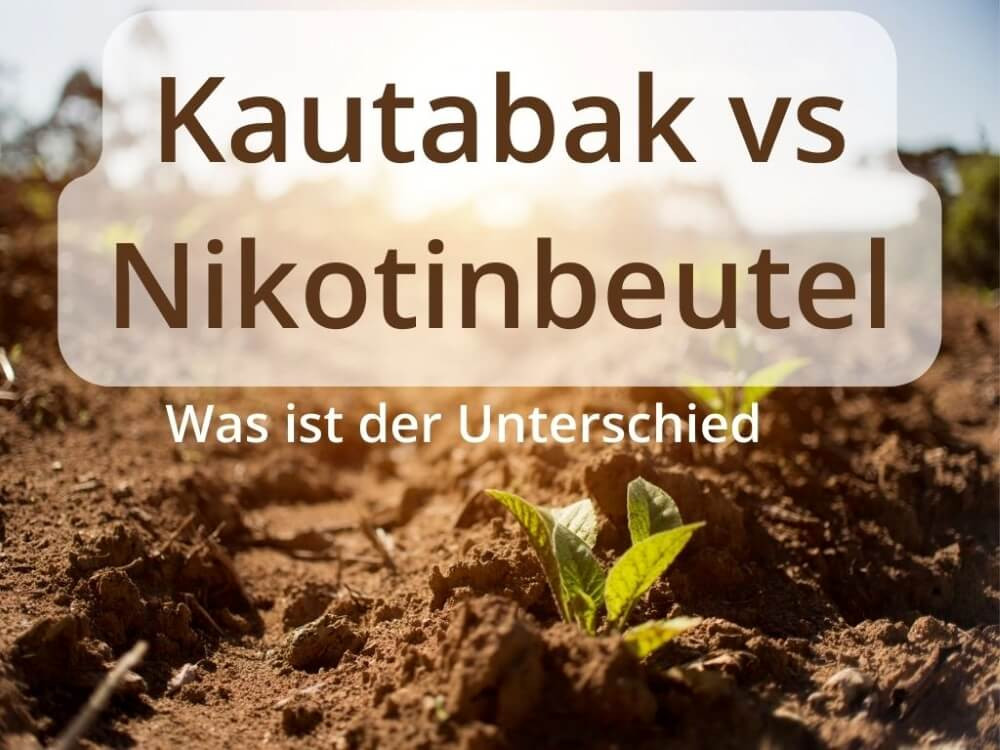 Kautabak vs Nikotinbeutel: Wo liegt der Unterschied?