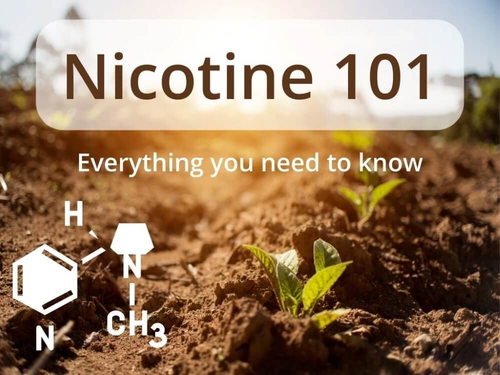 Nicotine 101: Get to know this widely-consumed compound
