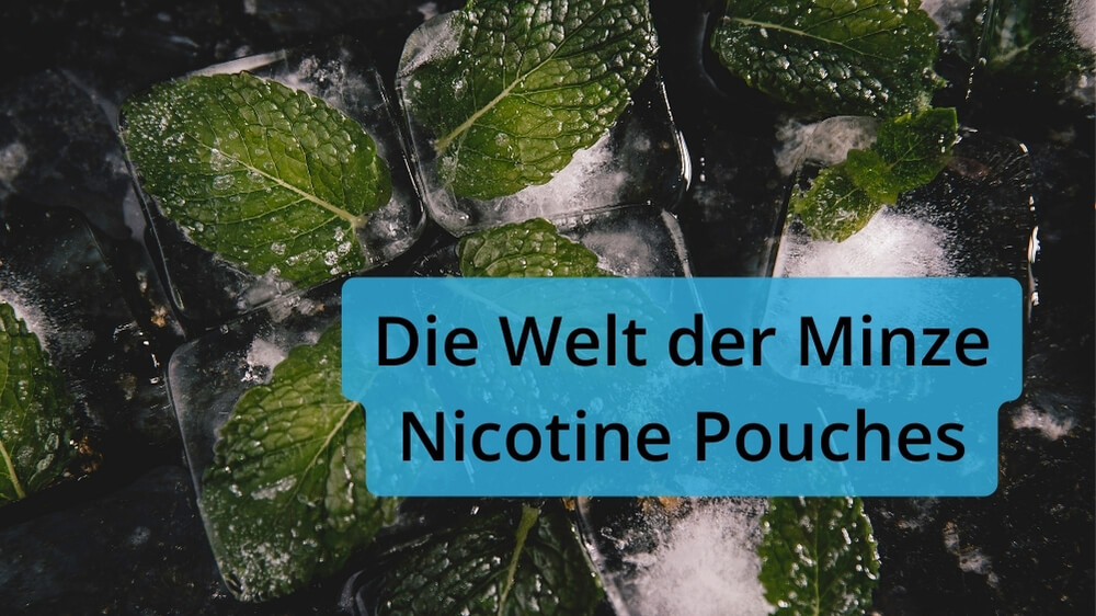 Mild oder stark: Die Welt der Minze Nicotine Pouches