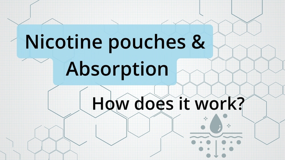 Nicotine Pouches and Absorption