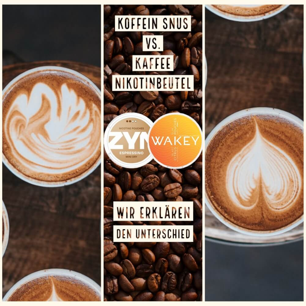 Der Unterschied zwischen Koffein Snus und Kaffee Nikotinbeuteln erklärt
