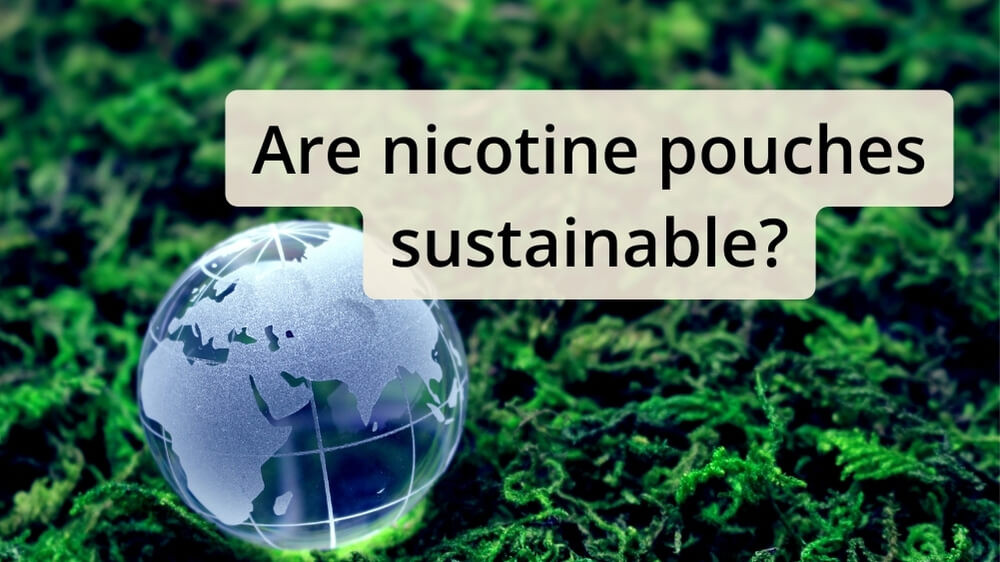 Are nicotine pouches sustainable?