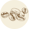 Coffee flavour icon