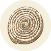 Liquorice flavour icon