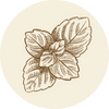 Mint flavour icon